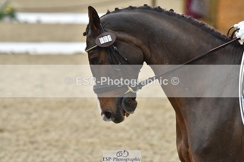 231018-145600-00672 - 005-DIAMOND.WOODS-Claire.Deuten-DR