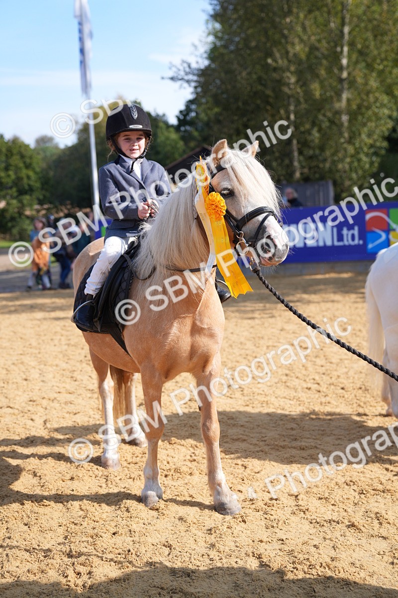 SBM_61506 - J1 - Mini Tour Junior Pony Lead Rein 30cm Championship