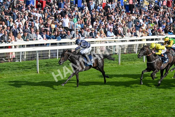 220825-Race 6-Frescobaldi-7764 - Race 6 4.45pm British Stallion Studs EBF Convivial Maiden Stakes