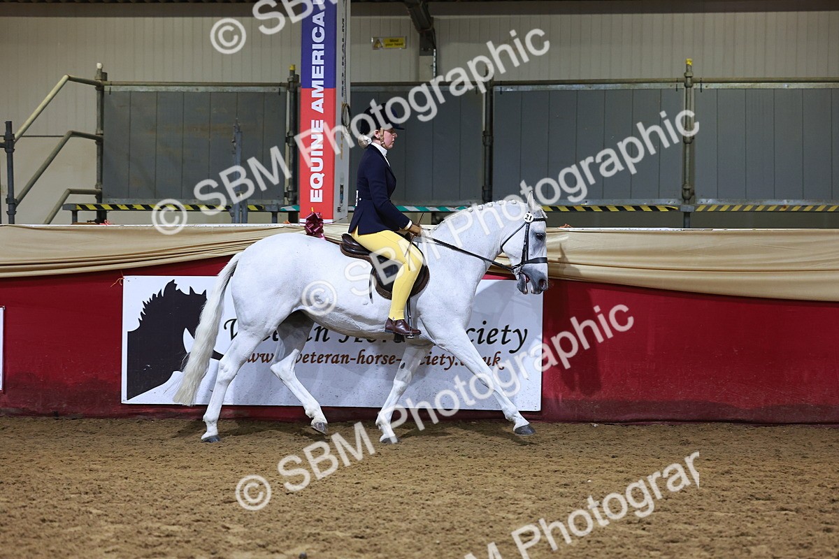 SBM_14957 - Class M - Equitation Champ