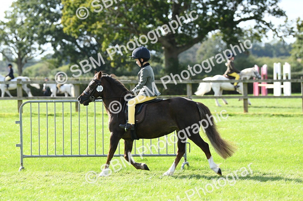 SBM_50296 - S21 - Novice & Newcomers 1st Ridden Pony