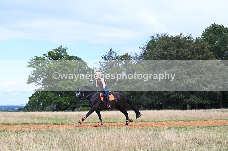 DSC_8835 - Time at Statue 14:33 to 15:10