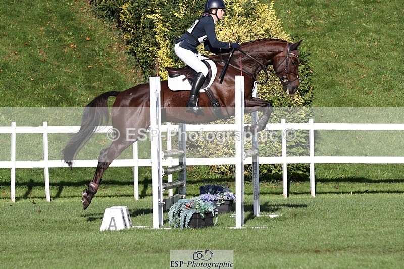 231022-101345-24401 - 649-DONAIL.BEAUANCO-Sheila.Williams-TrotUp+SJ