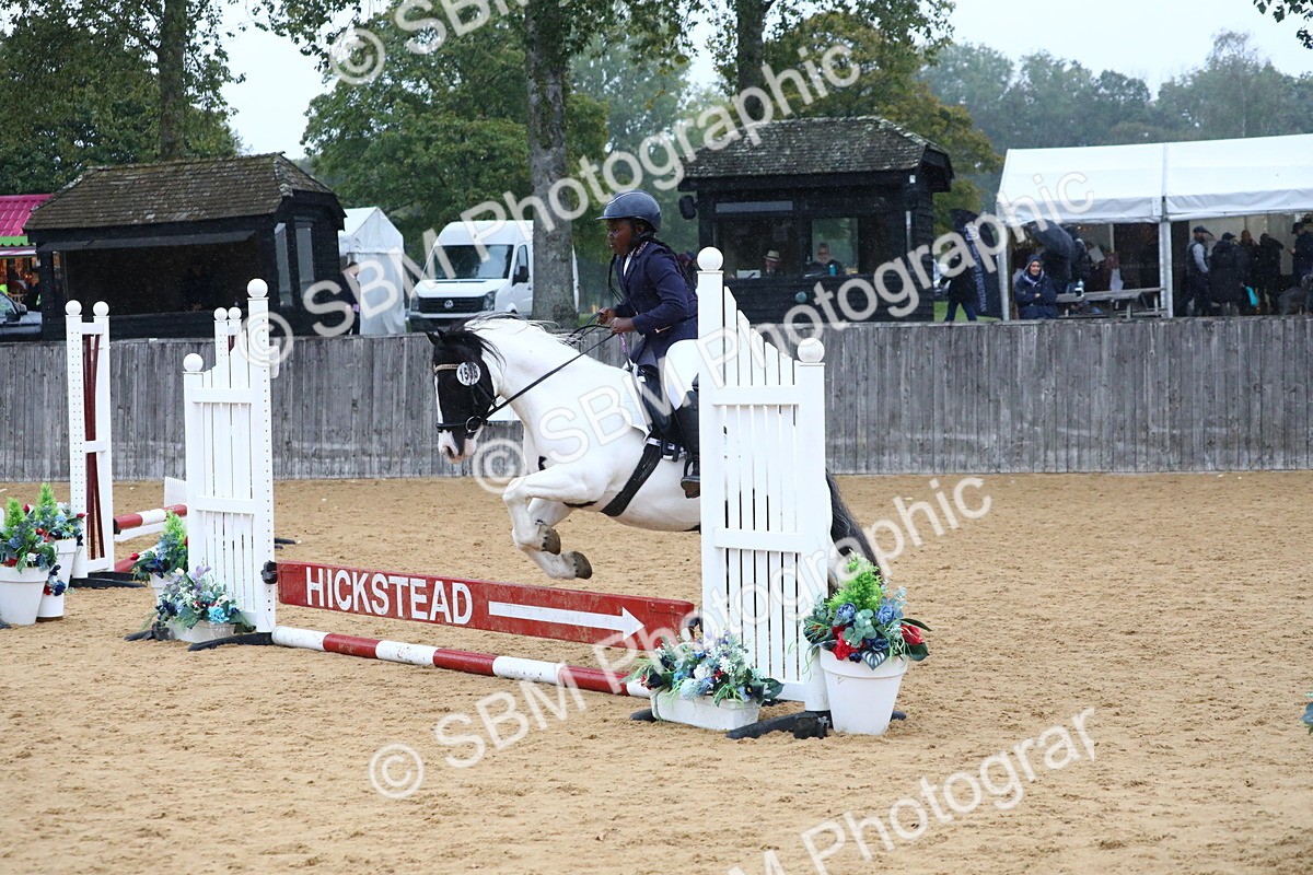 SBM_71454 - J4 - Mini Tour Junior Pony 45cm Championship