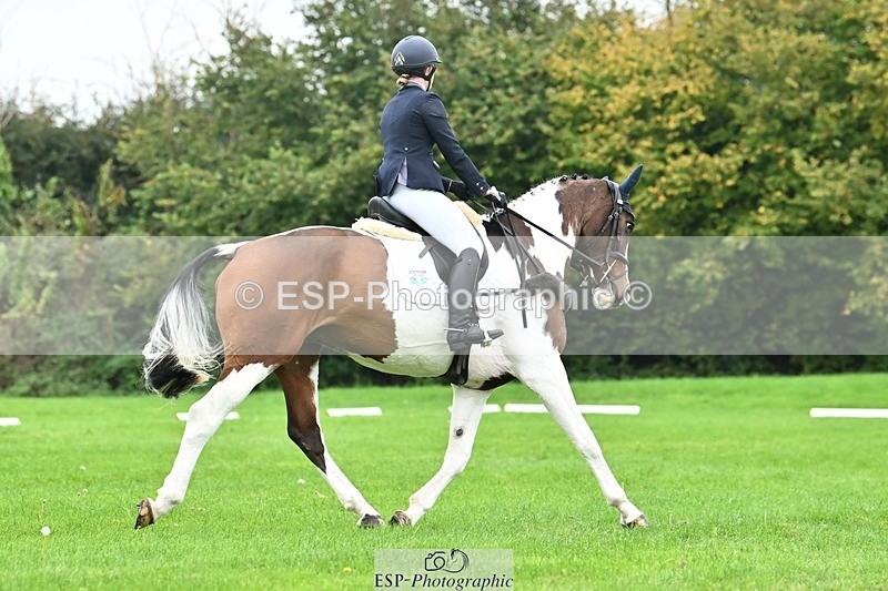 241024-135638-04256 - 331-Amber.Williams-COSMIC.MIKADO