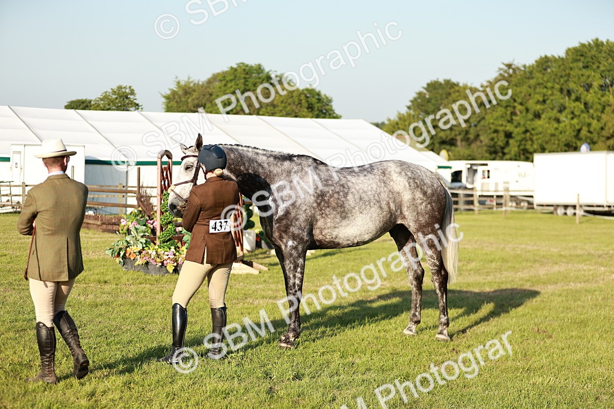 SBM_20504 - Class 117-119 - Sport Horse Working Hunter