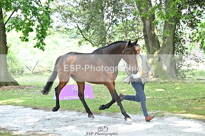 250521A-151551-00382 - B-355-Andrew.James-PRIMITIVE.PROPOSITION