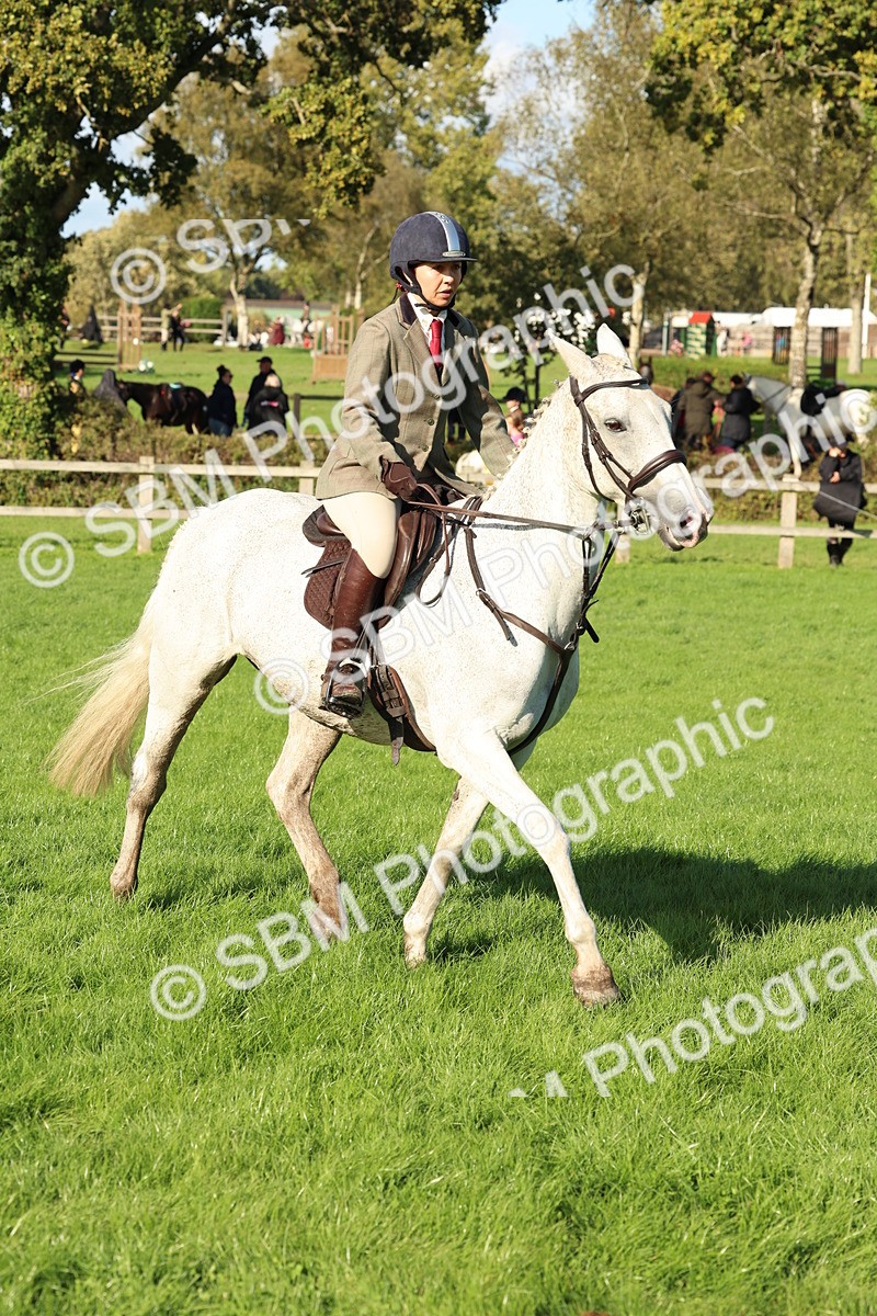 SBM_50126 - S34 - Novice & Newcomers Working Hunter
