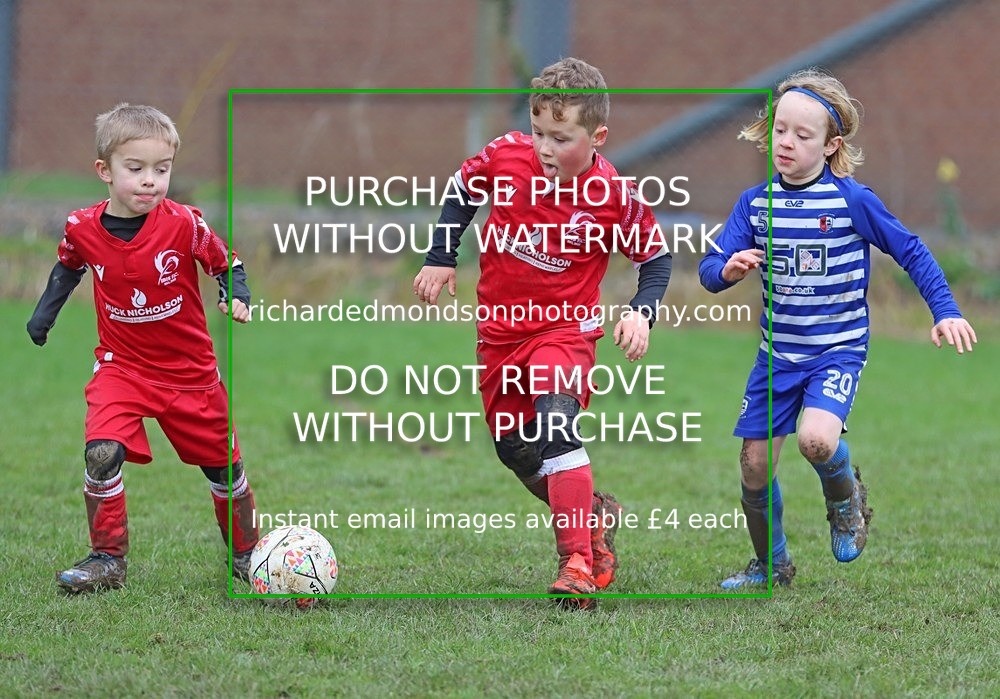 IMG_9098 - Ibis Under 7's vs Ambleside JFC Under 7's (2/3/24)