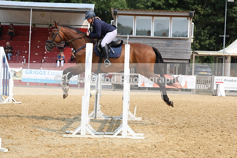 3E7A1506 - Class 4: Senior British Novice/90cm open