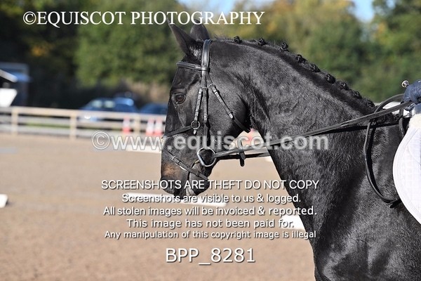 BPP_8281 - LONG ARENA