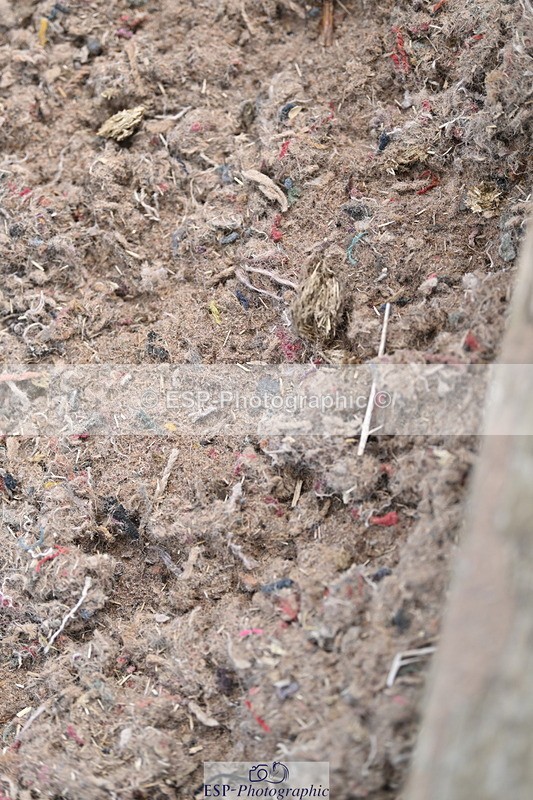 240706A-103815-00870 - Cls 2B Snr Prelim 13