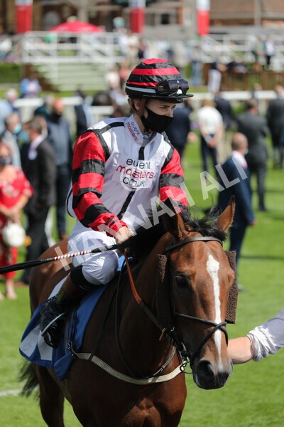 yr11062021r3-13 - Race 3 2.55pm SKF Rous Selling Stakes