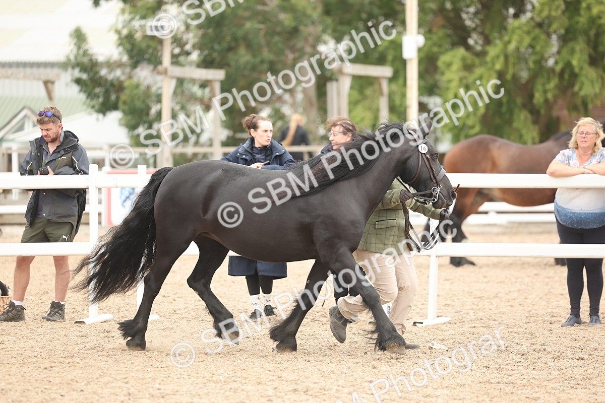 SBM_19250