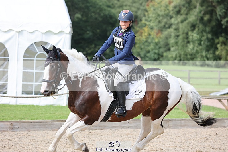 240823X-160813-19555 - 70cm Single Phase All