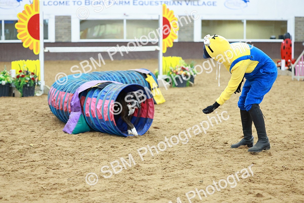 SBM_002238 - Class 3 - Horse & Hound (60cm)