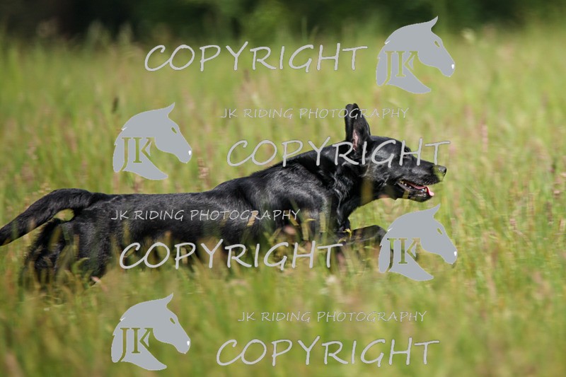 2R6A8080 - 18 Abbie