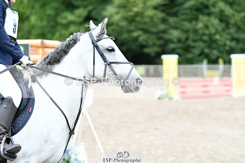 240825X-165621-36930 - 80cm SJ 16.00 to 17.26