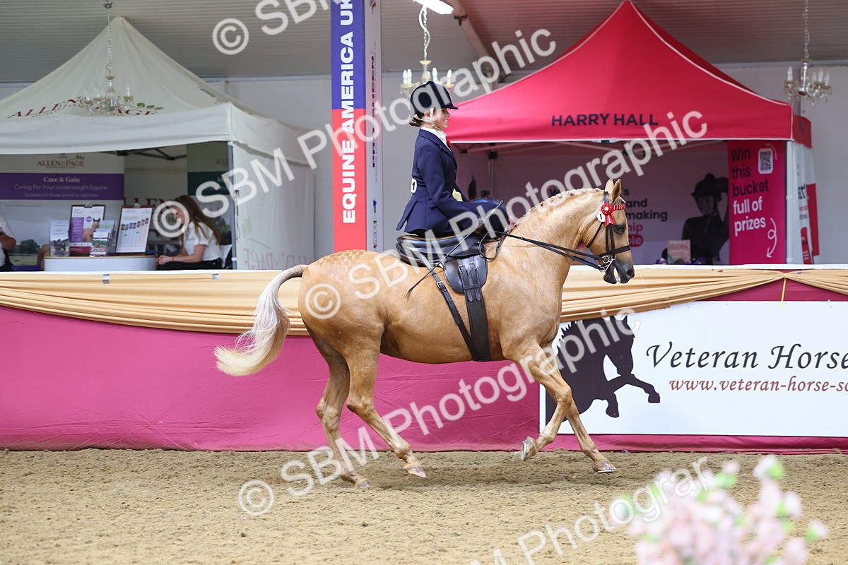 SBM_24352 - Class 906 - Supreme Final - Ridden Pre Vet
