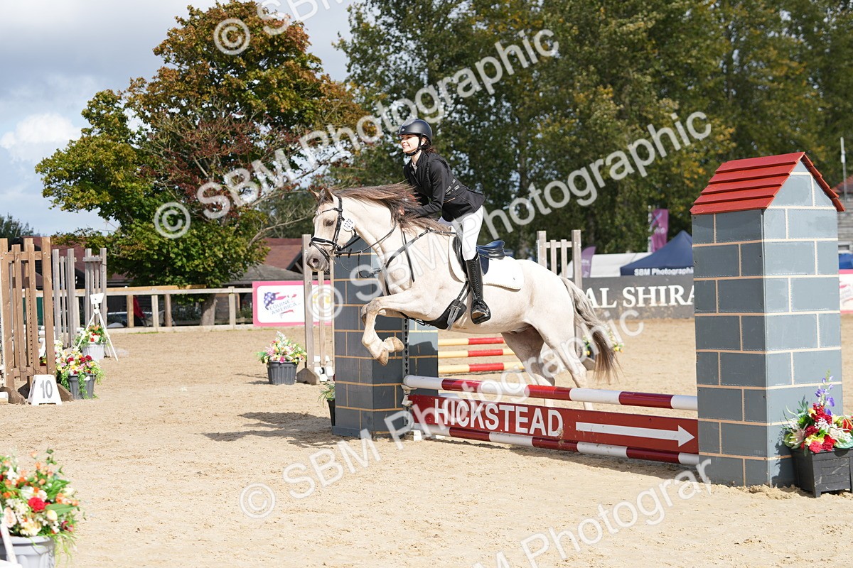 SBM_17850 - J58 - Clear Round 50cm
