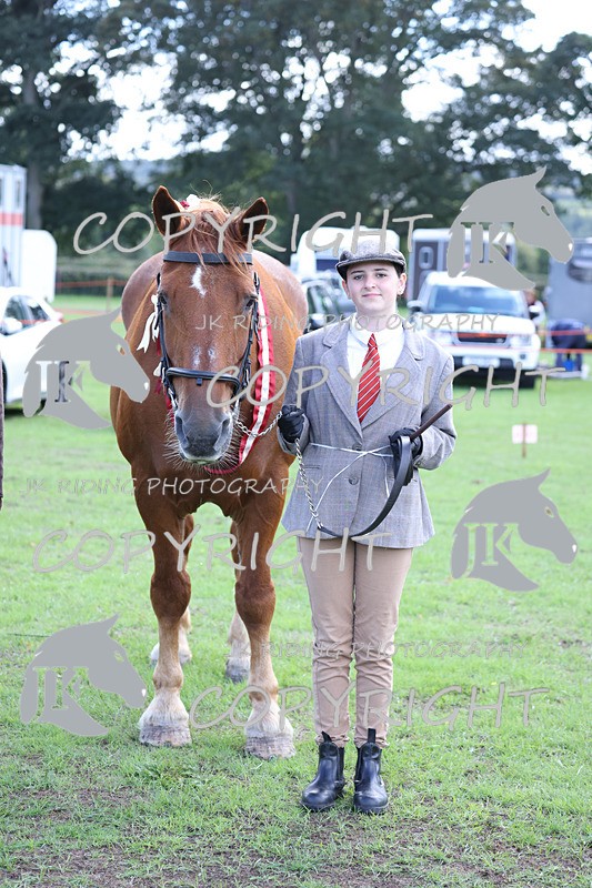 APP_3428 - Class 6 Young Handlers