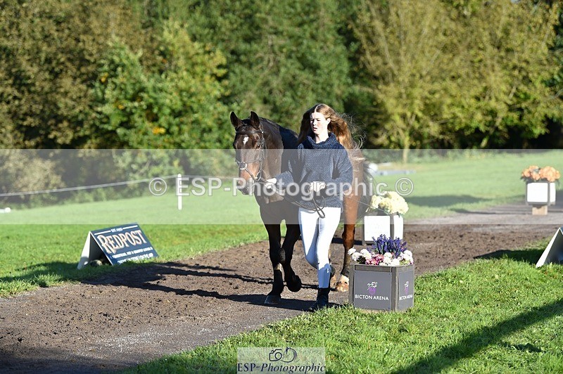 231022-094938-22051 - 494-WEST.FIELD.REBEL-Laura.Bilham-TrotUp+SJ