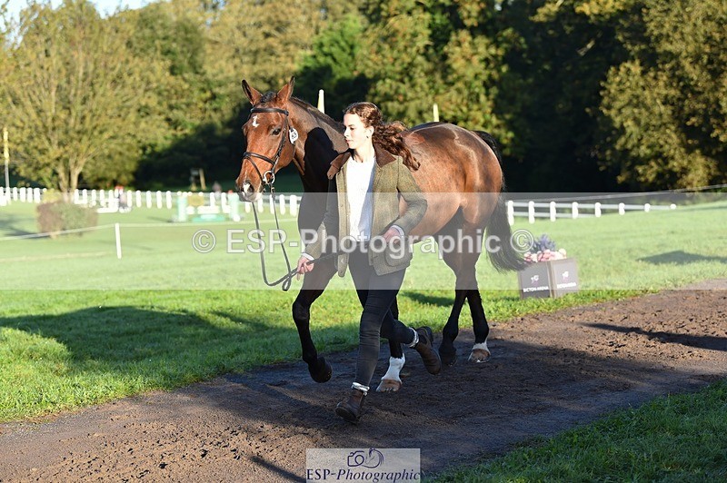 231022-091430-21642 - 605-SPORTSFIELD.U2-Katie.Corbin-TrotUp+SJ