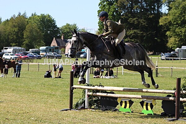 IMG_4620 - Working Hunter