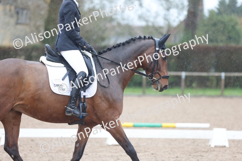 20251207-0650 - Class 4 - Novice 6