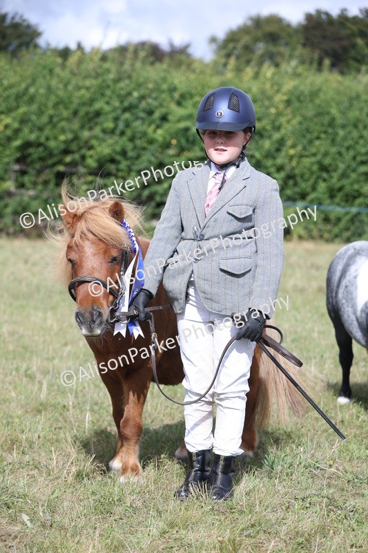 20250831-1717 - Previous show - Lambourn 2025