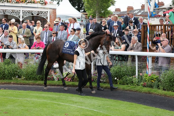 yr20082021r4-66 - Race 4 3.35pm Coolmore Wootton Bassett Nunthorpe Stakes (British Champions Series Race)