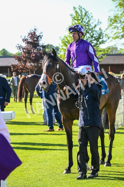 140525-Race 7-Great Bedwyn-3138 - Race 7 5.25pm Stuey Weston & Friends Getting Out Handicap