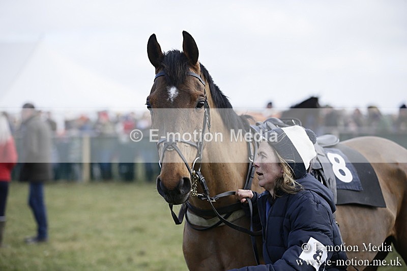 PtP 040218 68 - Point-to-Point Milborne St Andrew 04/02/18