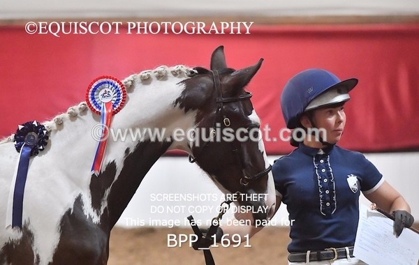 BPP_1691 - MORNING 9AM - 12PM