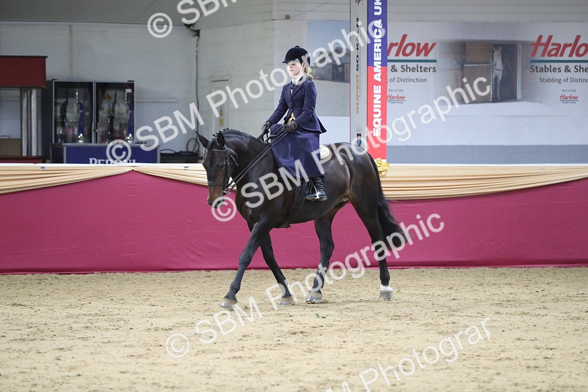 SBM_07300 - Class 10R Regional Ridden Diamond