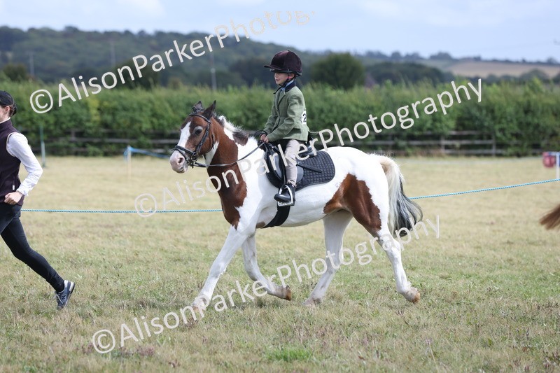 20250831-4317 - Class 20 - Ridden Coloured