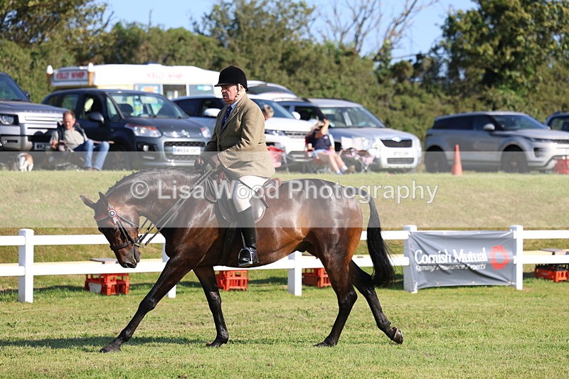 3E7A5453 - Class 2: Rising Star Large Hack/Riding Horse