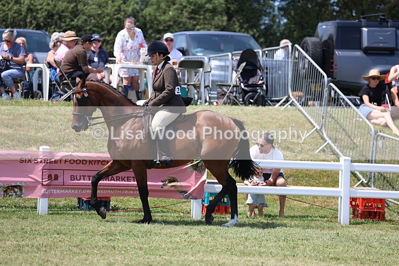 3E7A9420 - Class 12: Open Racehorse to Show Horse