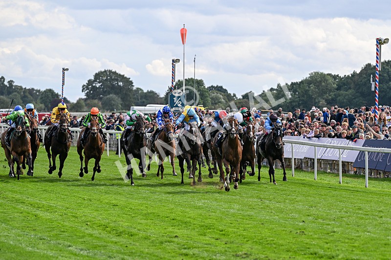 210826-Race 4-Bacio-6174 - Race 4 15.35pm Coolmore City Of Troy Nunthorpe Stakes
