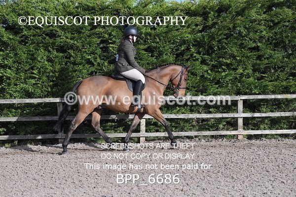BPP_6686 - RING 1  (RIDDEN HORSES / IN HAND / VETERAN ETC)