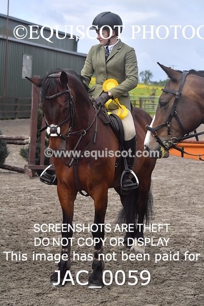 JAC_0059 - CLASS 3 Intermediate Working Hunter (0.70m - 0.85m)