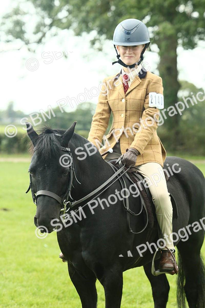 SBM_66461 - S34 - Rehabilitated Rescue Horse & Pony In Hand & Ridden