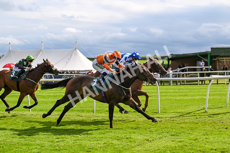 180624-Race 5-Sea The Dream-0589 - Race 5