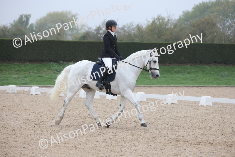 20251012-0409 - Class 3 - Novice 5