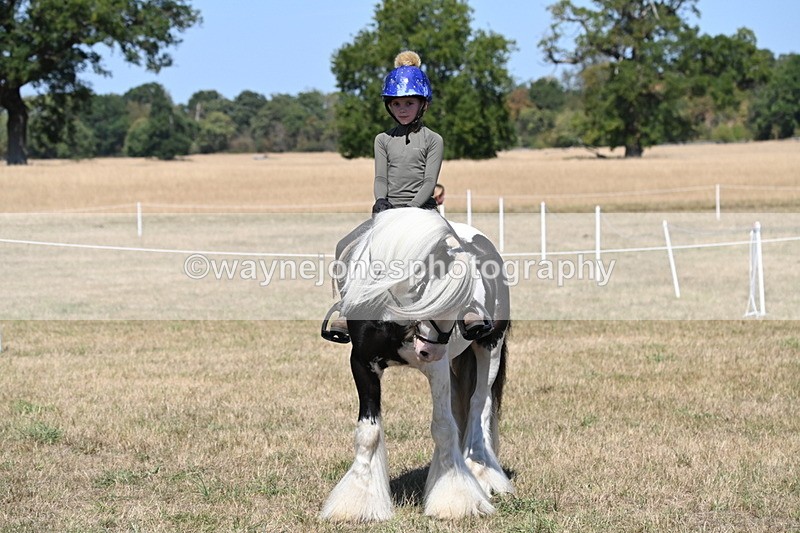 WJ6_9033 - Class 38 Ridden Riding Horse/Pony