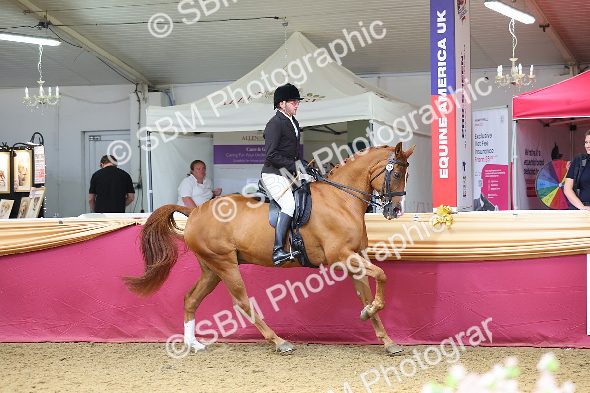 SBM_24068 - Class 905 - Supreme Final - Ridden Veteran