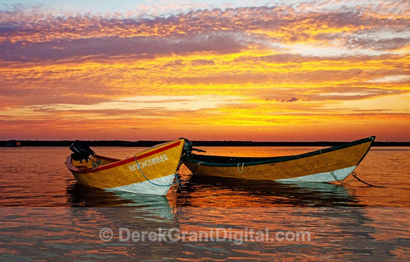 Dulse Dories - Dark Harbour, Grand Manan - Grand Manan