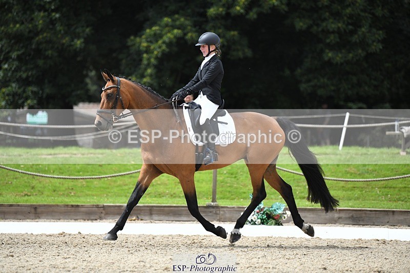 230812-130832-04272 - Cls 6 Novice Silver 12.10 to End