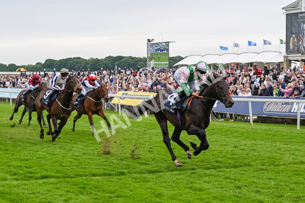 250524-Race 3-Starlust-3254 - Race 3 2.45pm William Hill Extra Place Races Daily Handicap