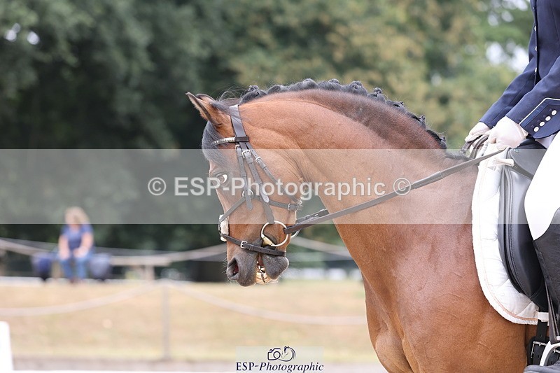 250718A-113142-00854 - 027-Lexi.Hill-Cornashton.Heavens.Above